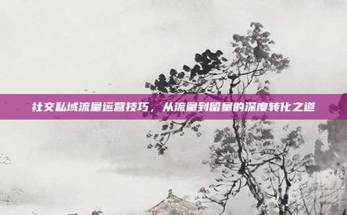 社交私域流量运营技巧,从流量到留量的深度转化之道