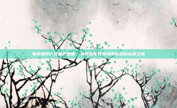 电商知识产权保护加强，从野蛮生长到有序繁荣的必然之路