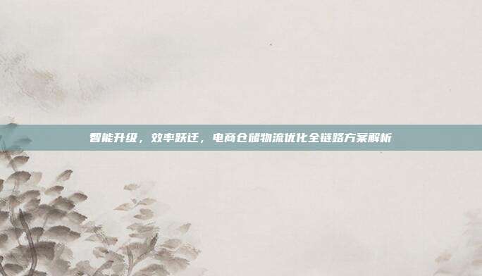 智能升级,效率跃迁,电商仓储物流优化全链路方案解析