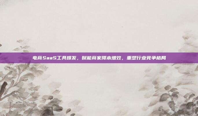 电商SaaS工具爆发，赋能商家降本增效，重塑行业竞争格局