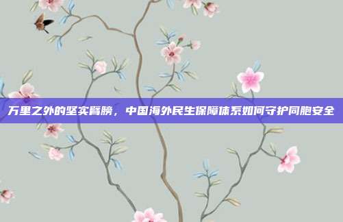 万里之外的坚实臂膀,中国海外民生保障体系如何守护同胞安全