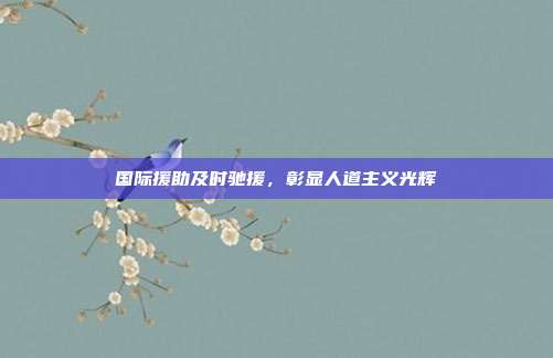 国际援助及时驰援,彰显人道主义光辉