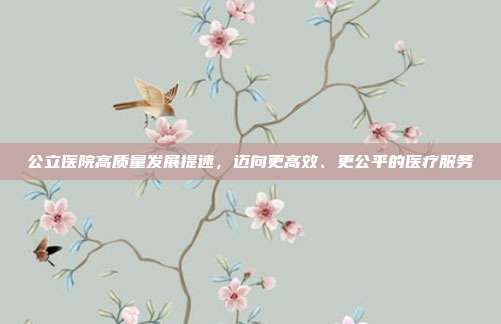 公立医院高质量发展提速,迈向更高效、更公平的医疗服务