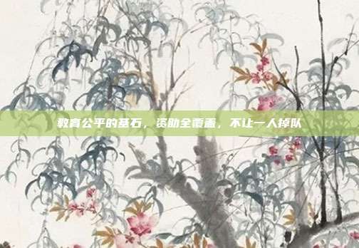 教育公平的基石,资助全覆盖,不让一人掉队