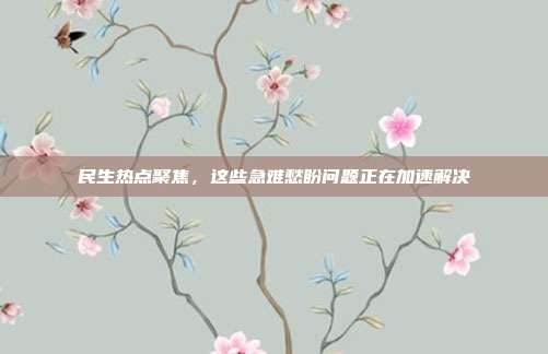 民生热点聚焦,这些急难愁盼问题正在加速解决