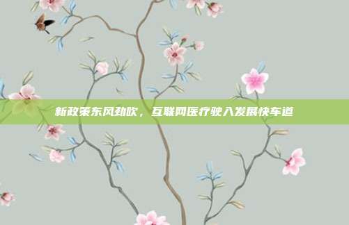 新政策东风劲吹,互联网医疗驶入发展快车道