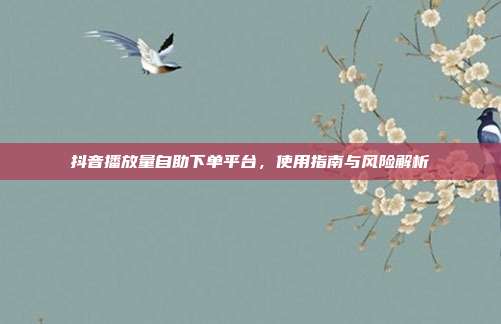 抖音播放量自助下单平台,使用指南与风险解析