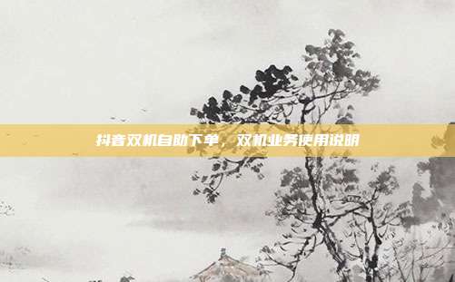 抖音双机自助下单,双机业务使用说明