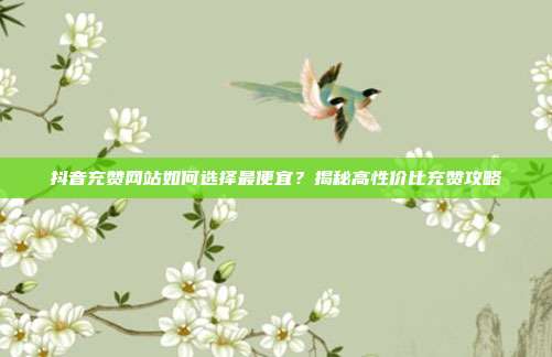 抖音充赞网站如何选择最便宜?揭秘高性价比充赞攻略