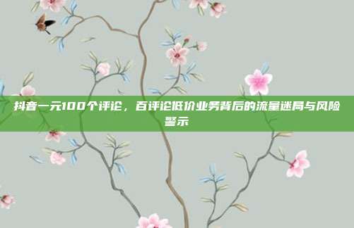 抖音一元100个评论，百评论低价业务背后的流量迷局与风险警示