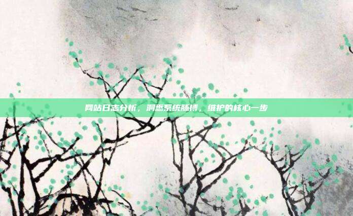 网站日志分析,洞悉系统脉搏,维护的核心一步