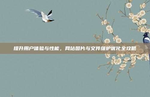 提升用户体验与性能,网站图片与文件维护优化全攻略
