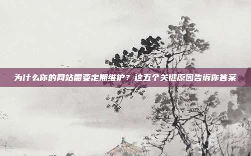 为什么你的网站需要定期维护?这五个关键原因告诉你答案