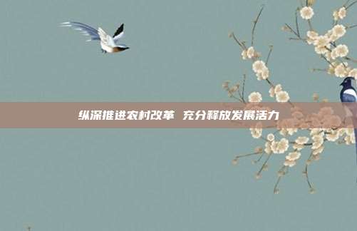纵深推进农村改革 充分释放发展活力