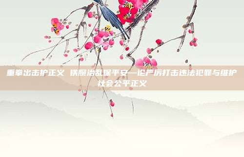 重拳出击护正义 铁腕治乱保平安—论严厉打击违法犯罪与维护社会公平正义