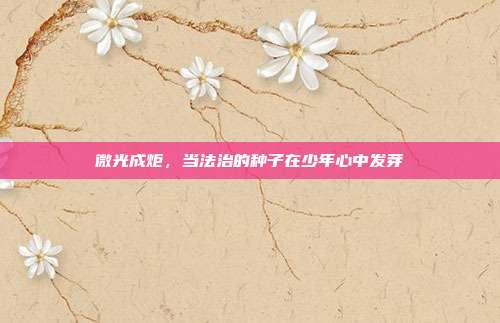 微光成炬,当法治的种子在少年心中发芽
