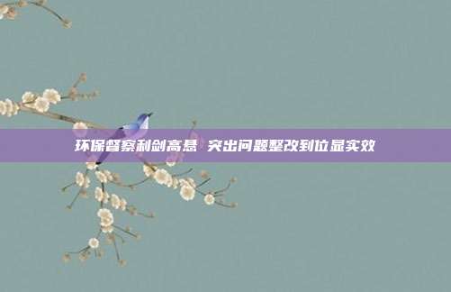 环保督察利剑高悬 突出问题整改到位显实效