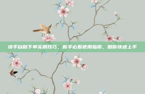 快手自助下单实用技巧，新手必看使用指南，助你快速上手