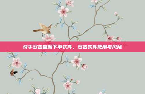 快手双击自助下单软件，双击软件使用与风险