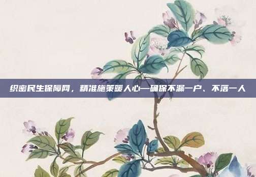 织密民生保障网,精准施策暖人心—确保不漏一户、不落一人