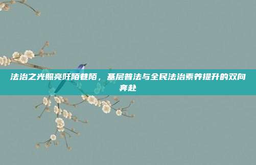 法治之光照亮阡陌巷陌，基层普法与全民法治素养提升的双向奔赴