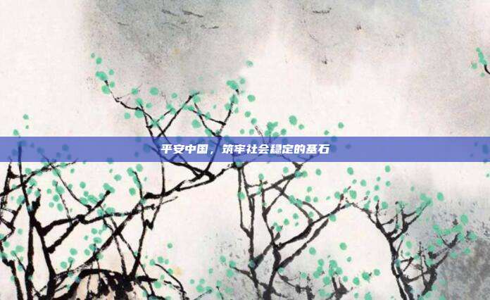 平安中国,筑牢社会稳定的基石