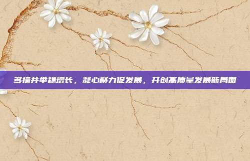 多措并举稳增长,凝心聚力促发展,开创高质量发展新局面