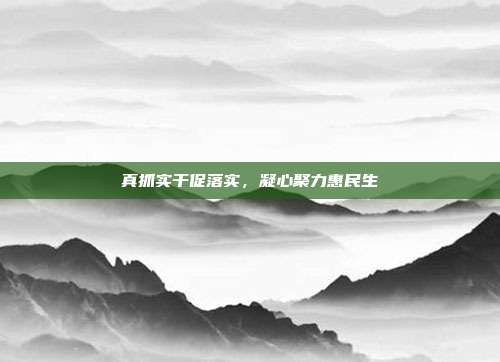 真抓实干促落实,凝心聚力惠民生