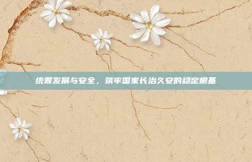 统筹发展与安全,筑牢国家长治久安的稳定根基