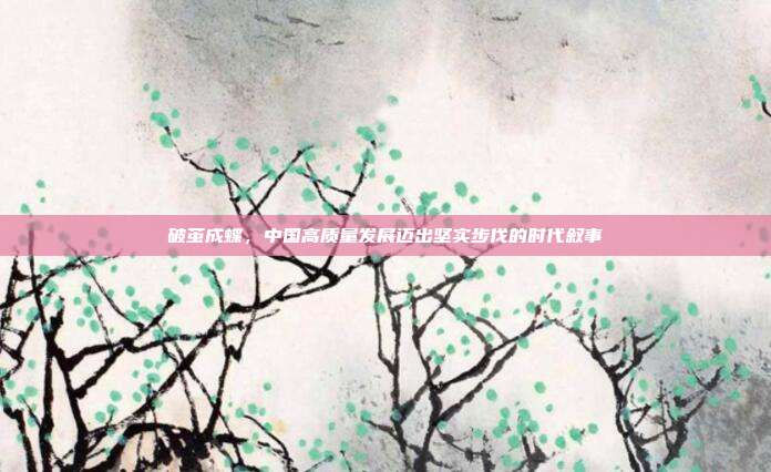 破茧成蝶,中国高质量发展迈出坚实步伐的时代叙事