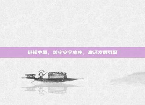 链韧中国,筑牢安全底座,激活发展引擎