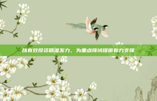 以有效投资精准发力，为重点领域提供有力支撑