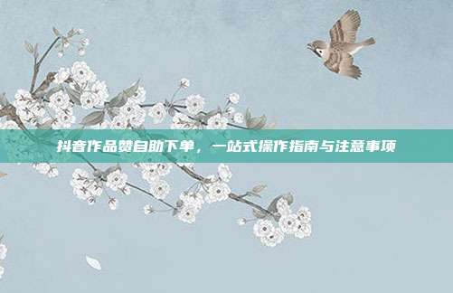 抖音作品赞自助下单,一站式操作指南与注意事项