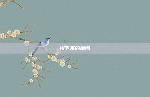 慢下来的屋檐