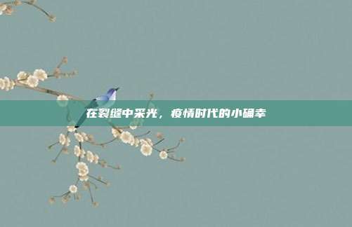 在裂缝中采光，疫情时代的小确幸