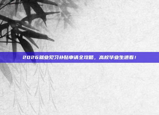 2026就业见习补贴申请全攻略,高校毕业生速看!