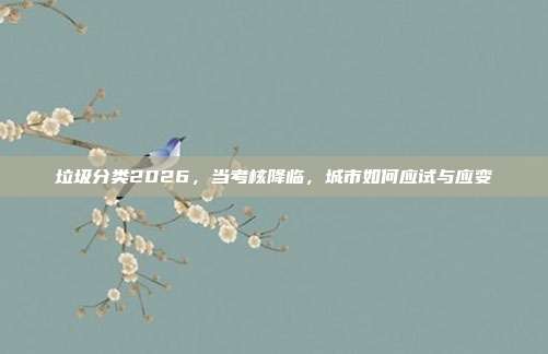 垃圾分类2026,当考核降临,城市如何应试与应变