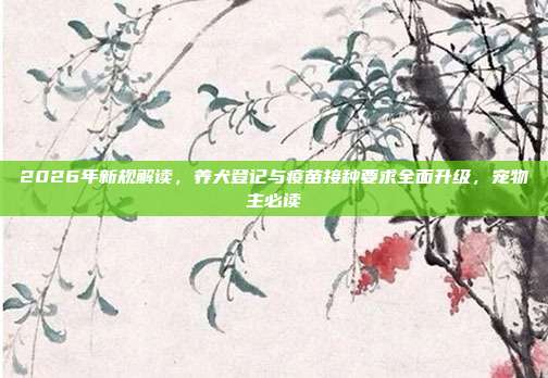 2026年新规解读,养犬登记与疫苗接种要求全面升级,宠物主必读