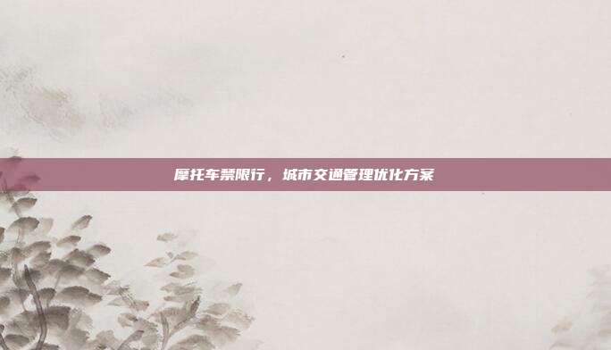 摩托车禁限行，城市交通管理优化方案
