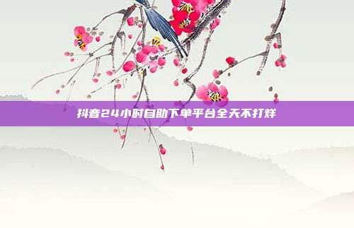 抖音24小时自助下单平台全天不打烊