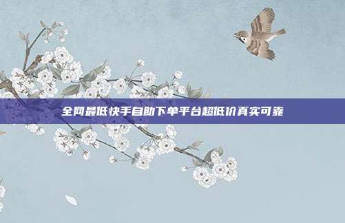 全网最低快手自助下单平台超低价真实可靠