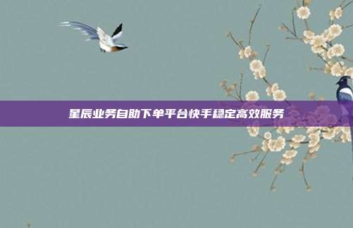 星辰业务自助下单平台快手稳定高效服务