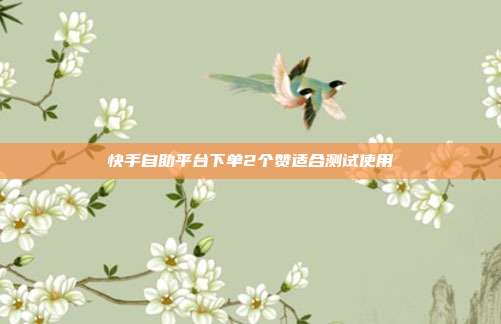 快手自助平台下单2个赞适合测试使用