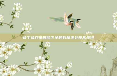 快手快双击自助下单秒到极速处理不等待