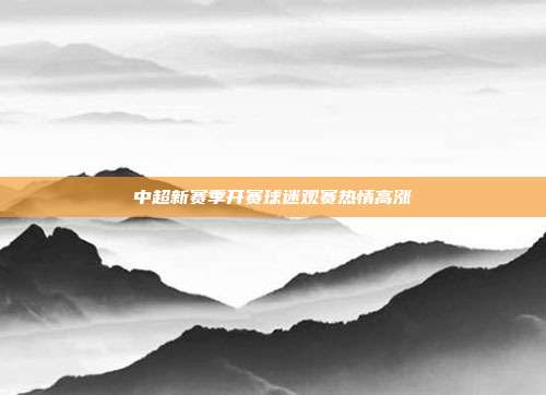 中超新赛季开赛球迷观赛热情高涨