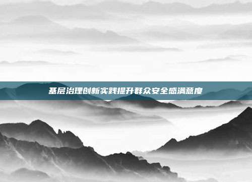 基层治理创新实践提升群众安全感满意度