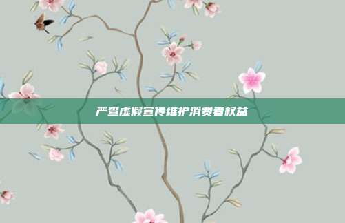 严查虚假宣传维护消费者权益