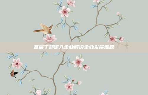 基层干部深入企业解决企业发展难题