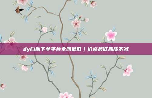 dy自助下单平台全网最低|价格最低品质不减