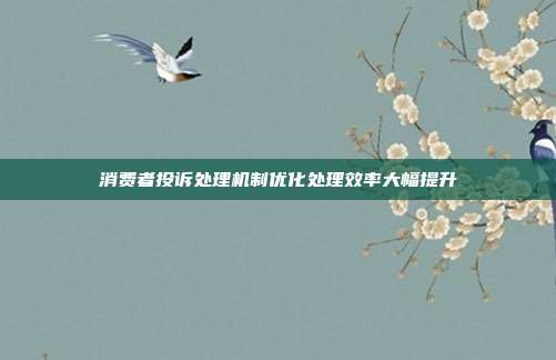 消费者投诉处理机制优化处理效率大幅提升